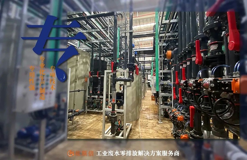 依斯倍環(huán)保入選2022年省級專精特新企業(yè)