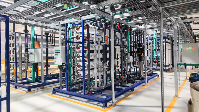 蘇州市環保產業協會女企業家專委會成立 依斯倍董事長常英入選首屆委員 (5)