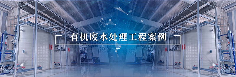 有機廢水處理工程案例